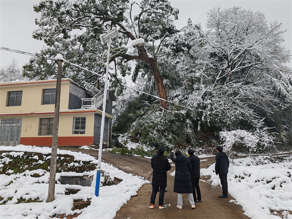 做好低温冰冻雨雪天气防范应对工作1